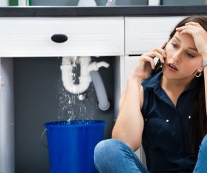 About Sewer Line Replacement Williamsport, KY